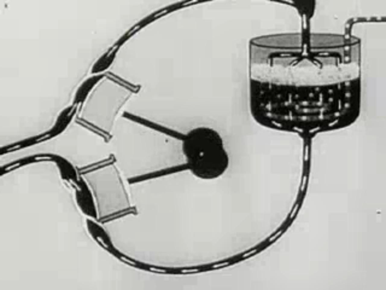 Who Really Invented the Heart/Lung Pump And ECPR?